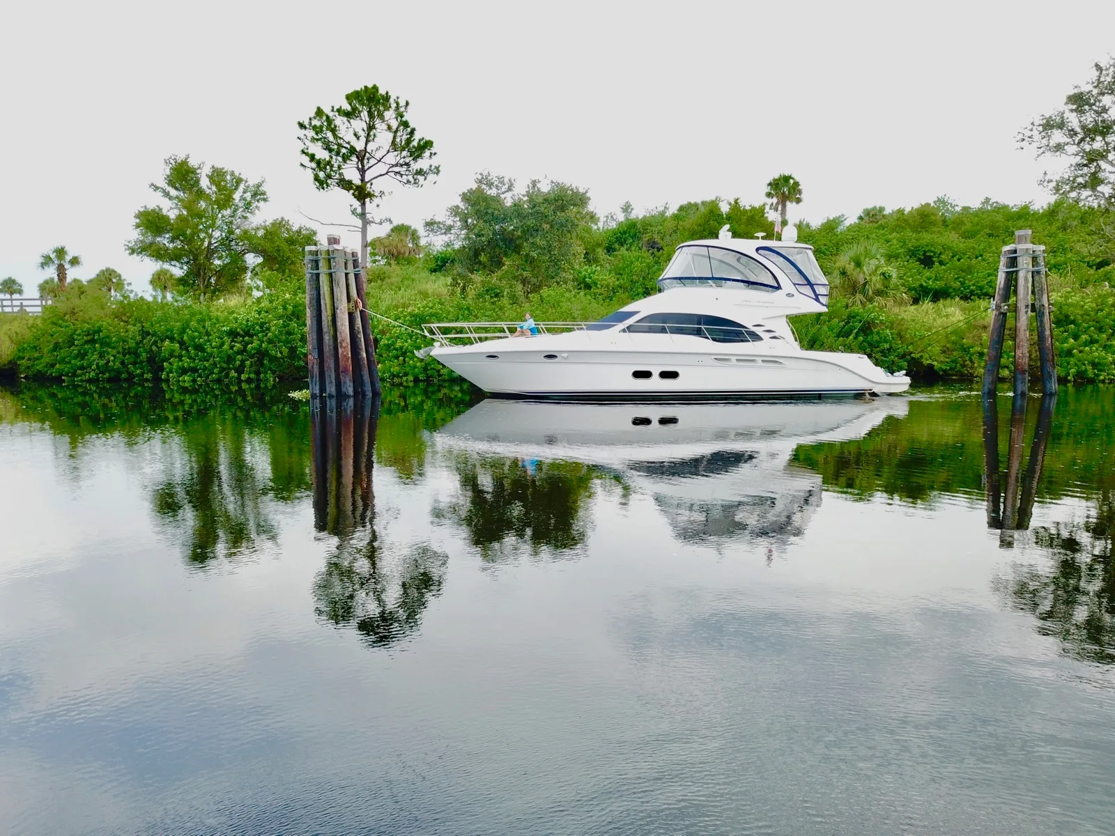 White motor yacht cruising along a calm green waterway